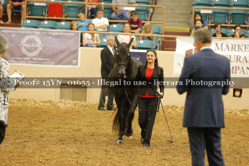 Proof 15YN_01655