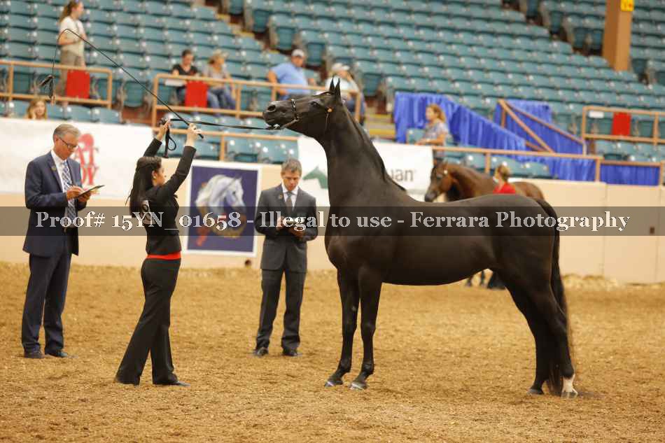 Proof 15YN_01658