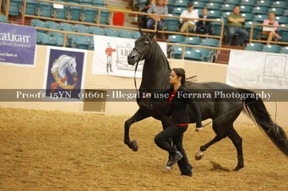Proof 15YN_01661