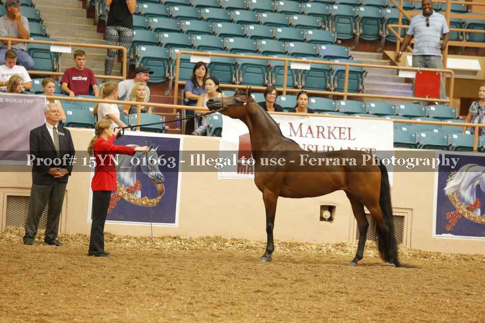 Proof 15YN_01663