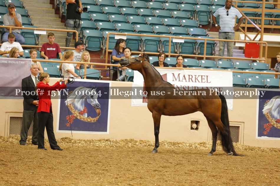 Proof 15YN_01664