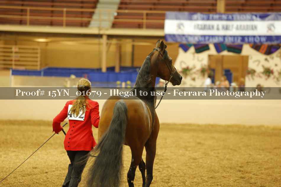 Proof 15YN_01679