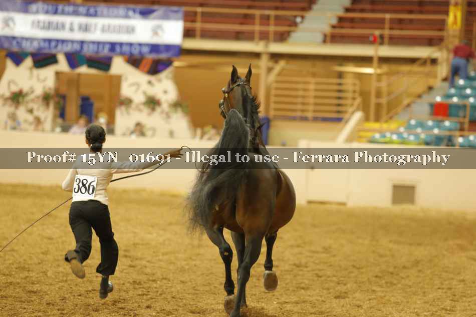 Proof 15YN_01691