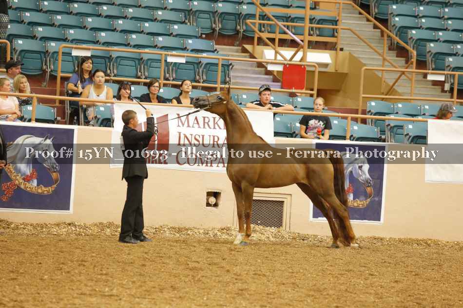 Proof 15YN_01693