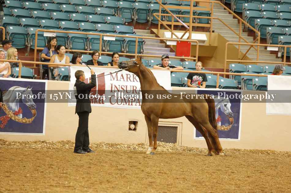 Proof 15YN_01694