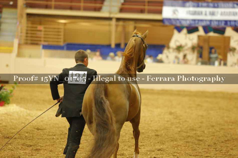 Proof 15YN_01705