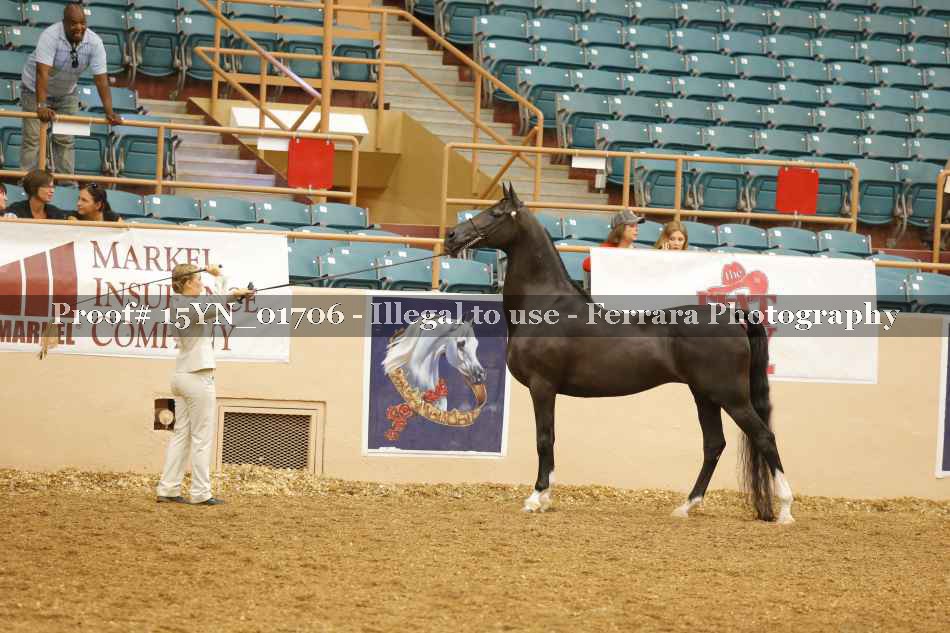 Proof 15YN_01706