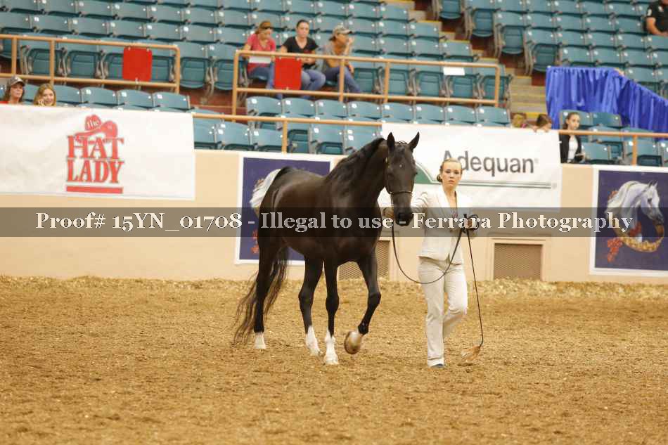 Proof 15YN_01708