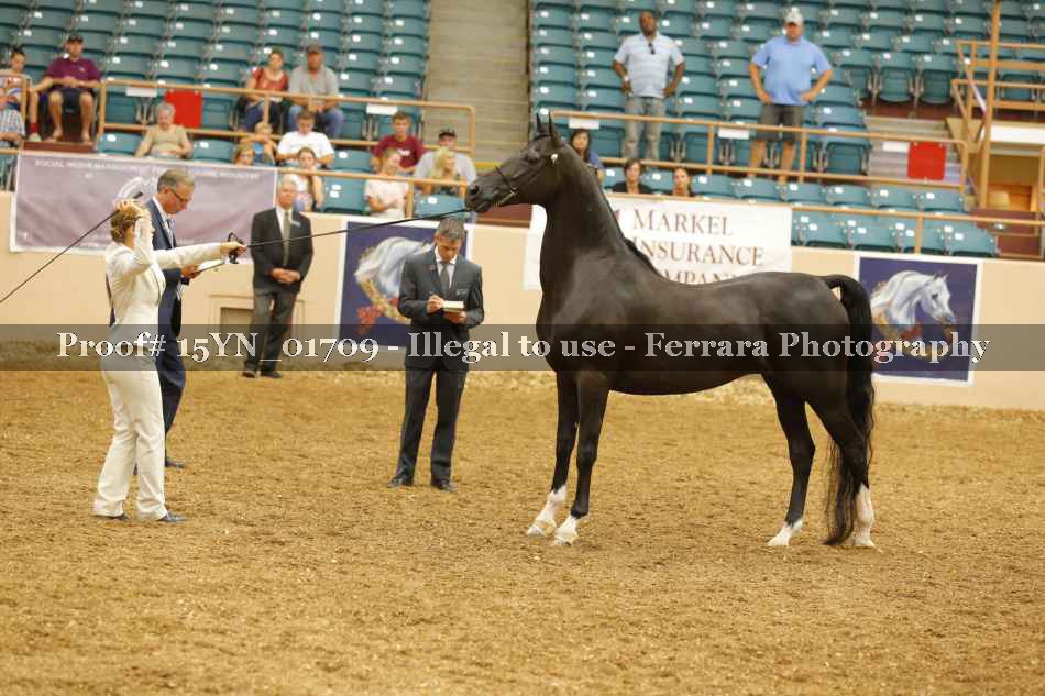 Proof 15YN_01709