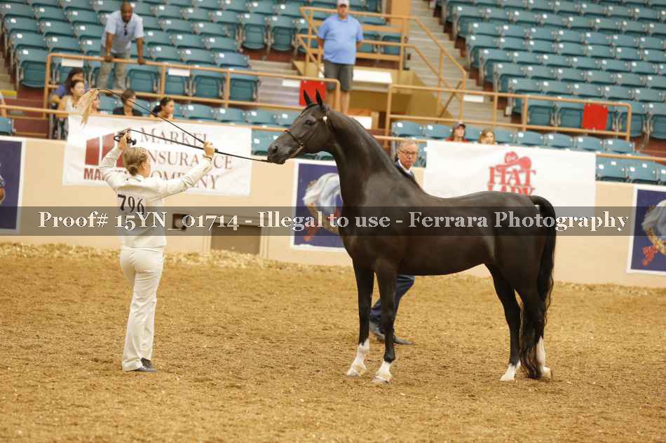 Proof 15YN_01714