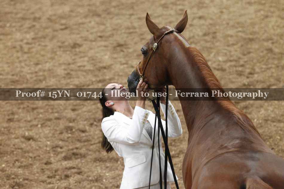 Proof 15YN_01744