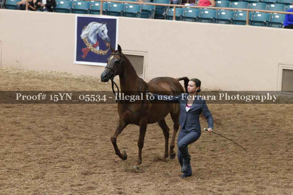 Proof 15YN_05534