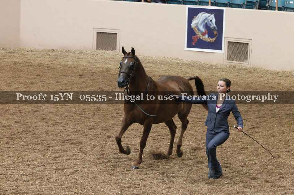 Proof 15YN_05535