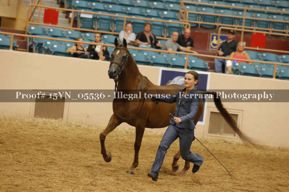 Proof 15YN_05536