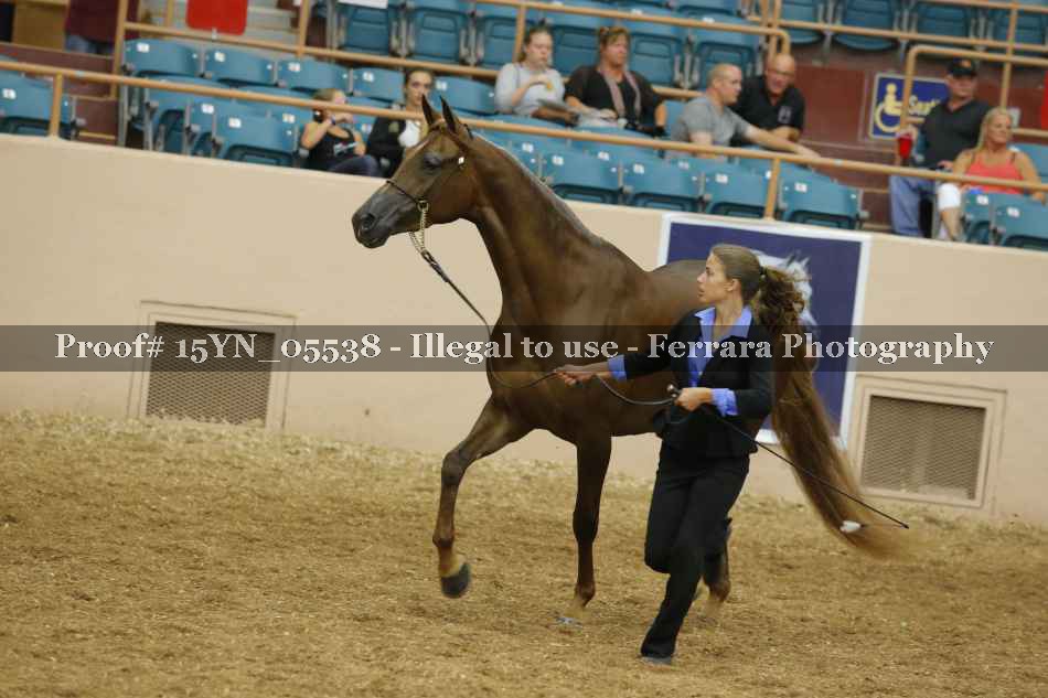 Proof 15YN_05538