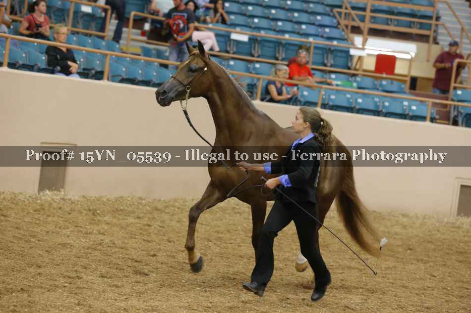 Proof 15YN_05539