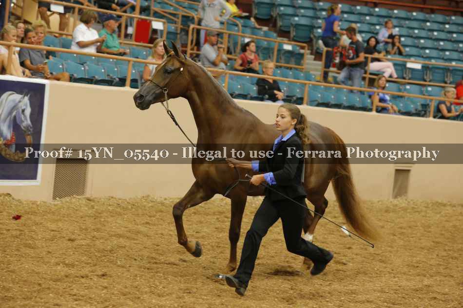Proof 15YN_05540