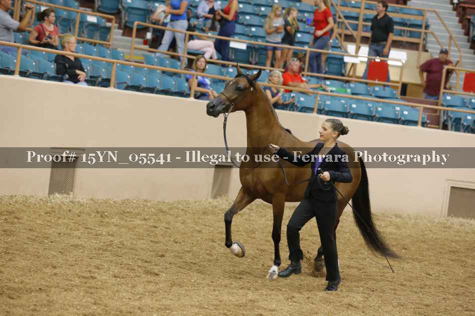 Proof 15YN_05541