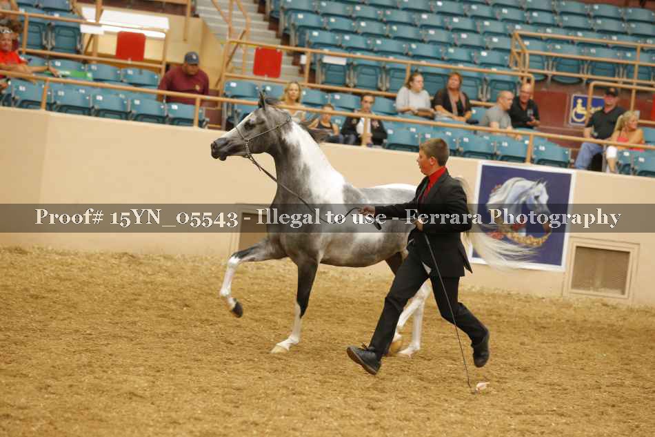 Proof 15YN_05543