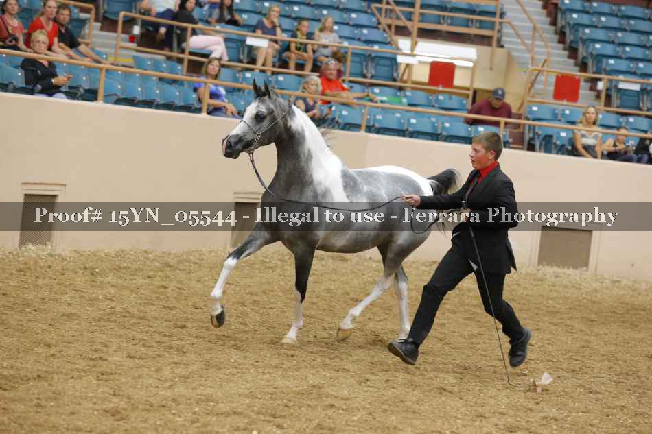 Proof 15YN_05544