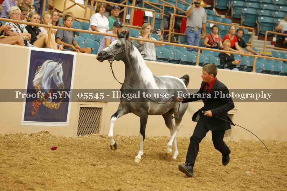 Proof 15YN_05545