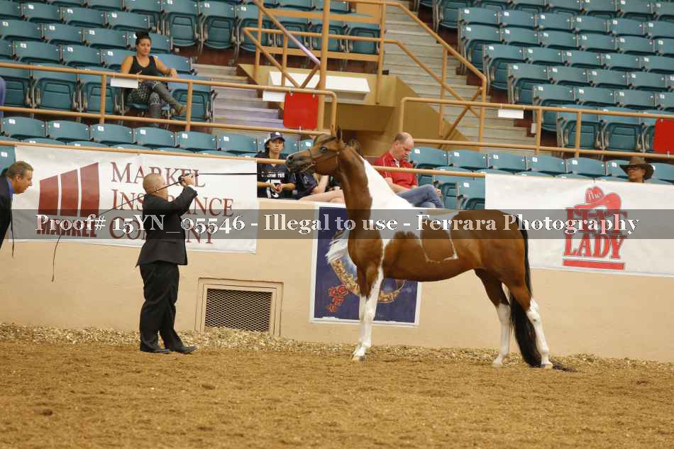 Proof 15YN_05546