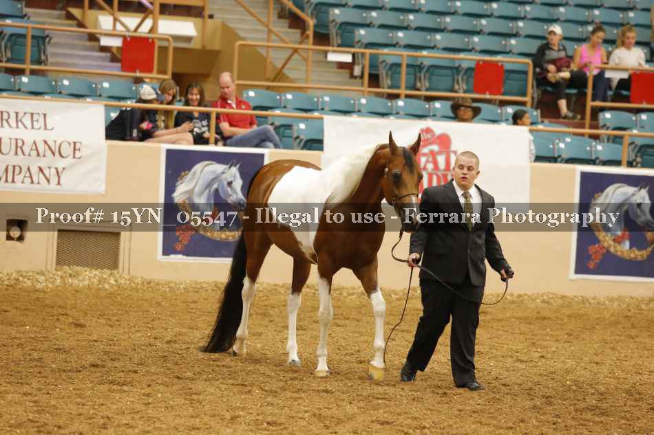 Proof 15YN_05547