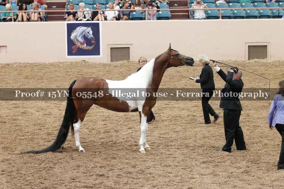 Proof 15YN_05548