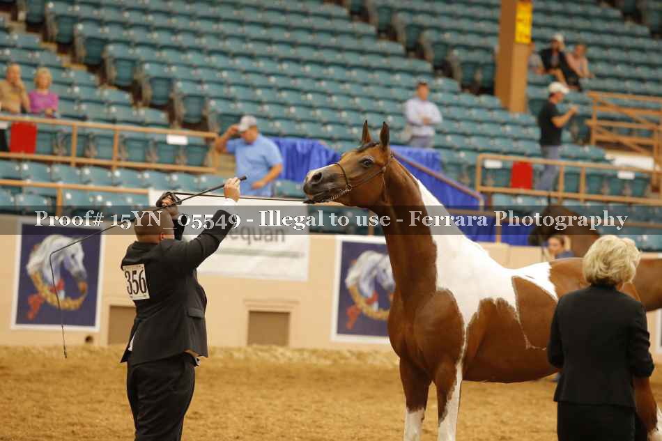 Proof 15YN_05549