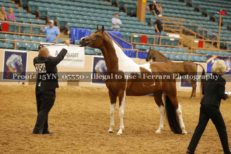 Proof 15YN_05550