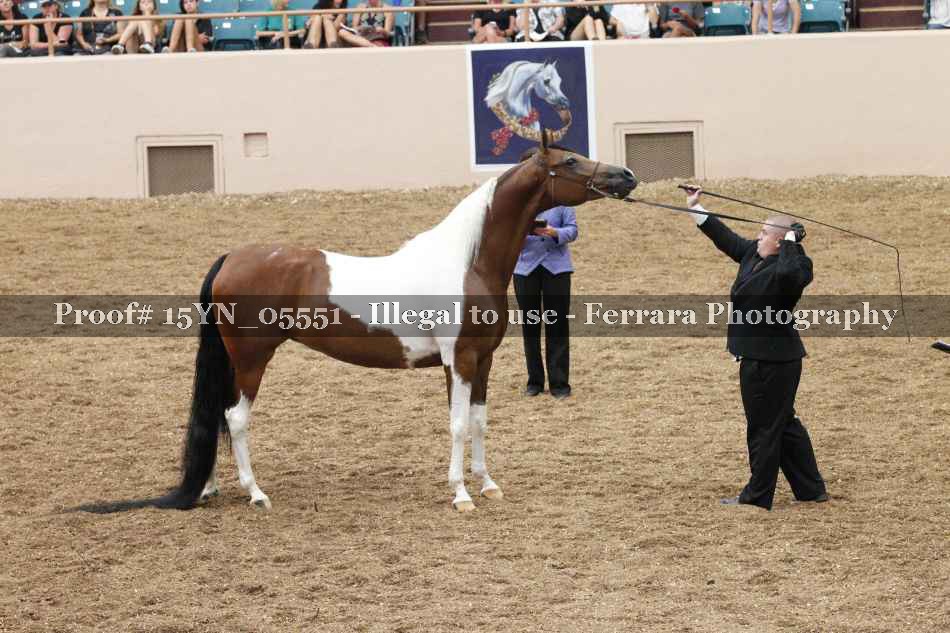 Proof 15YN_05551