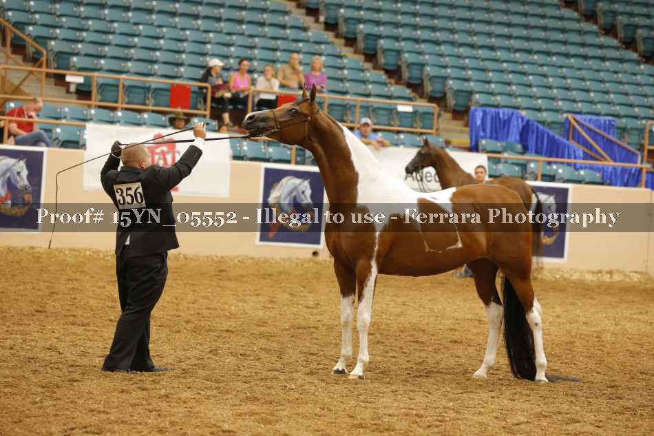 Proof 15YN_05552