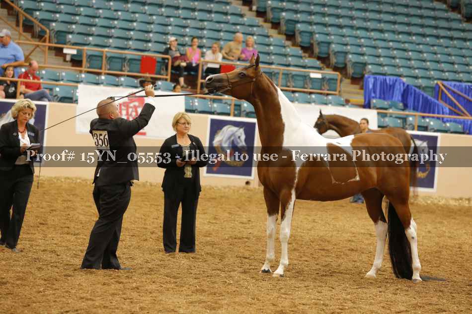 Proof 15YN_05553