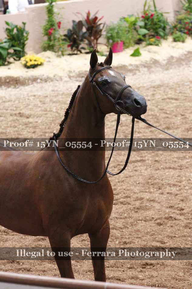 Proof 15YN_05554