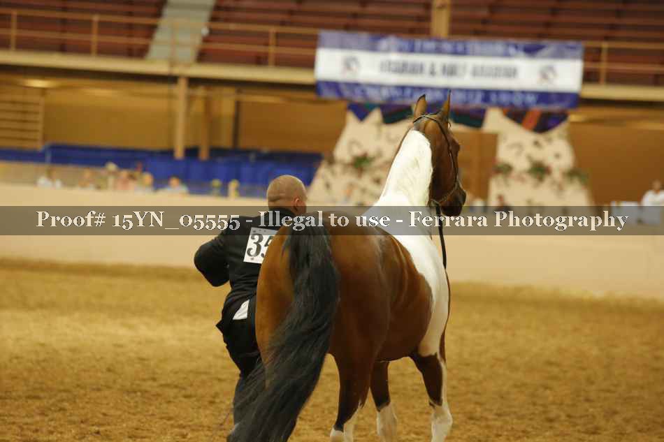 Proof 15YN_05555