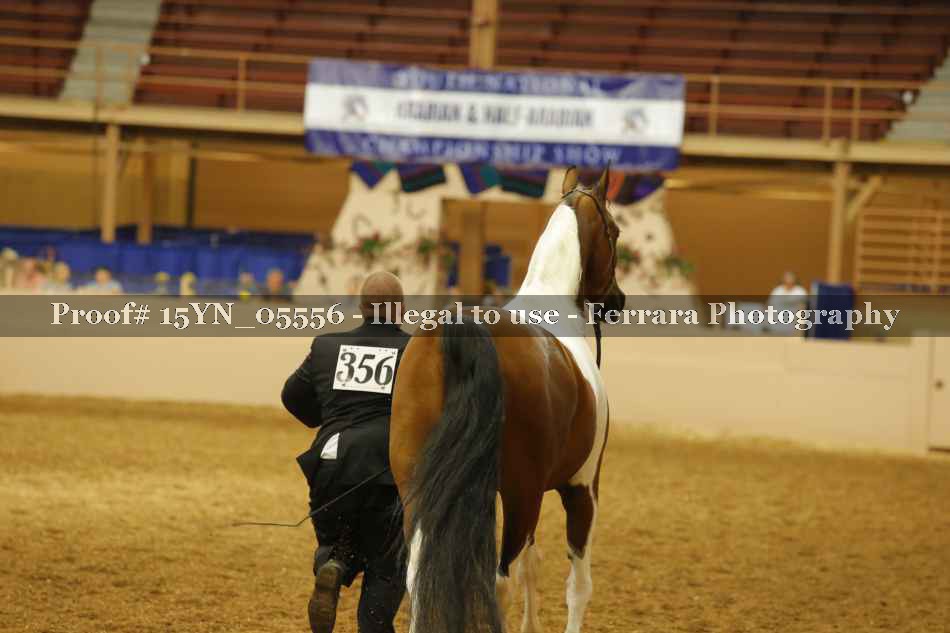 Proof 15YN_05556