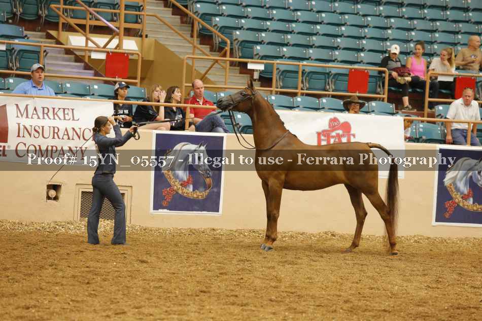 Proof 15YN_05557