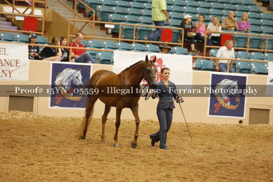 Proof 15YN_05559