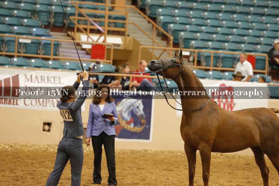 Proof 15YN_05563
