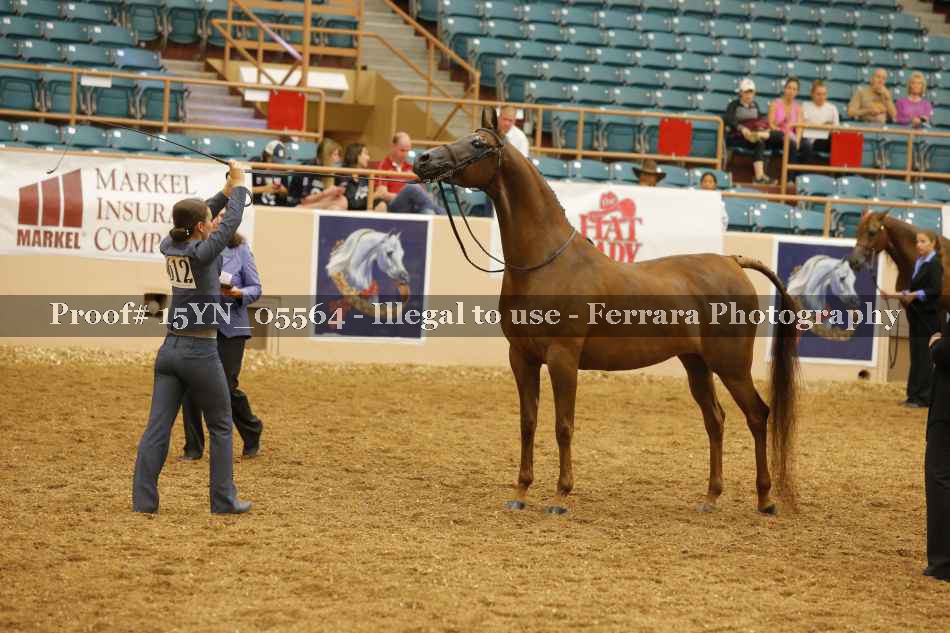 Proof 15YN_05564