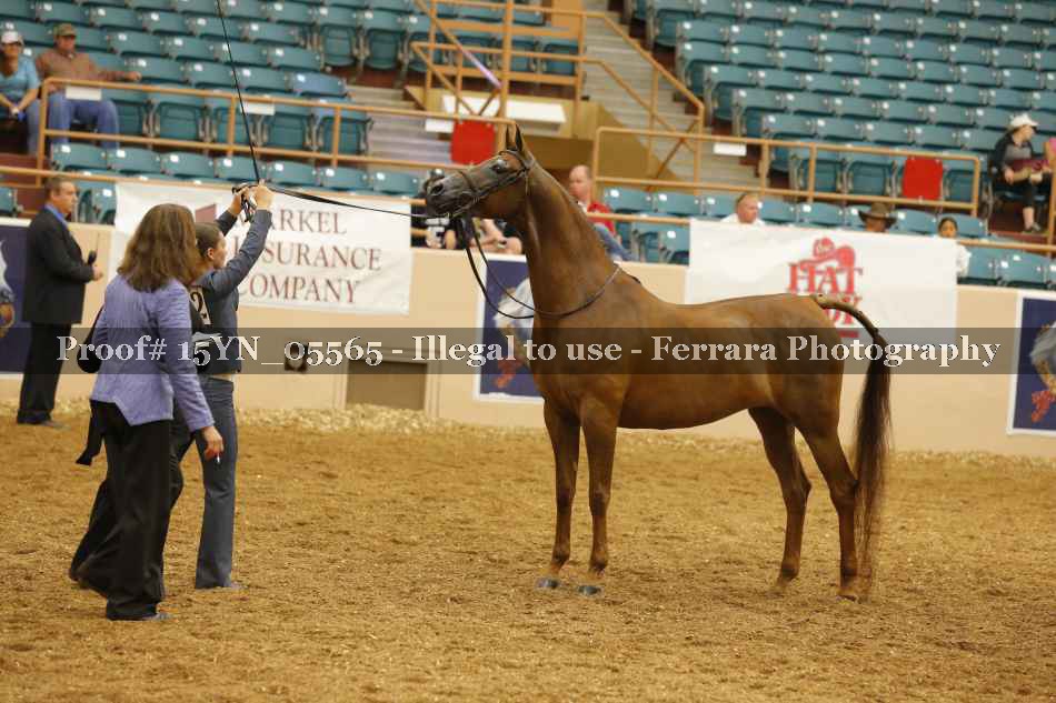 Proof 15YN_05565