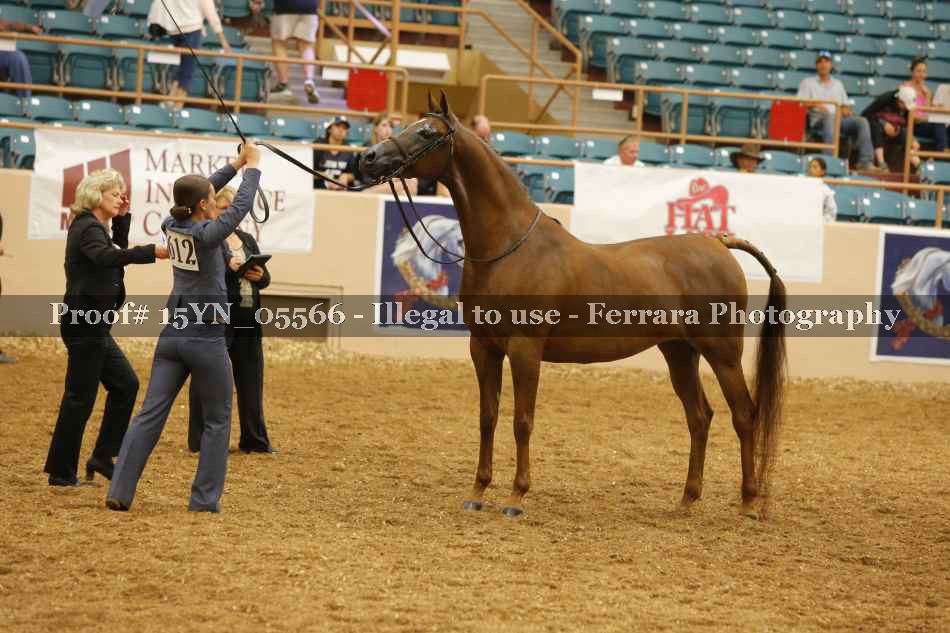 Proof 15YN_05566