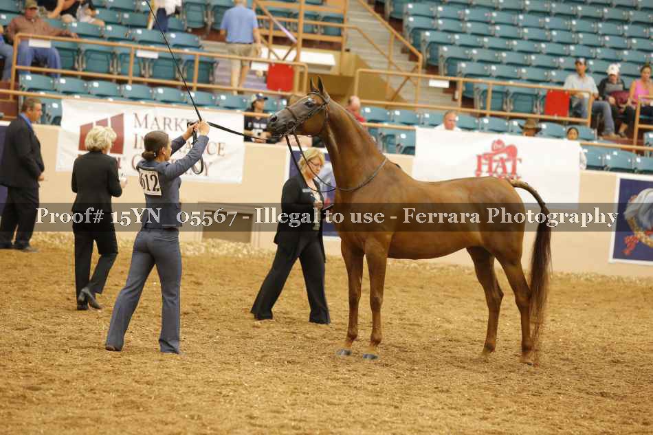 Proof 15YN_05567