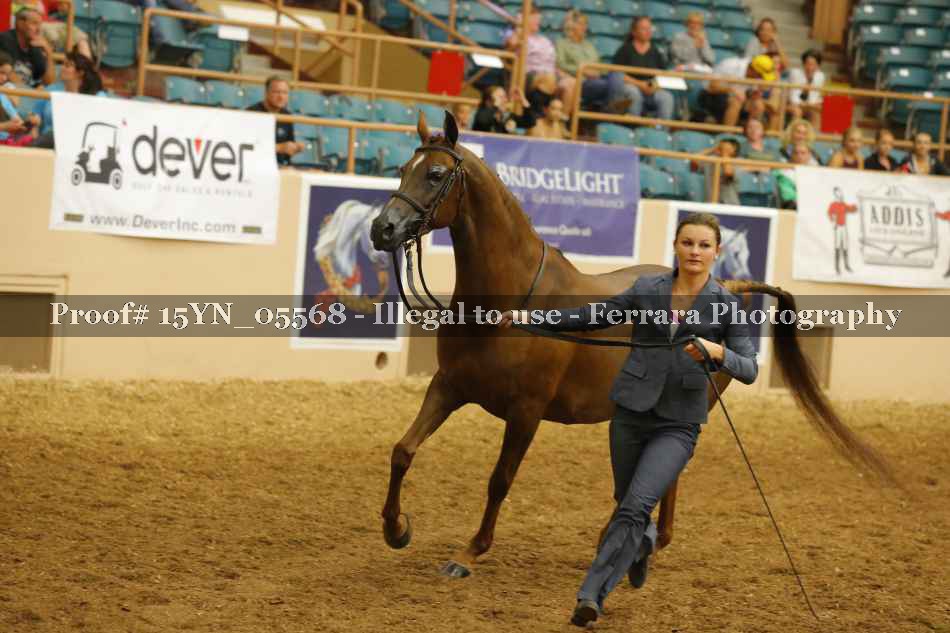 Proof 15YN_05568