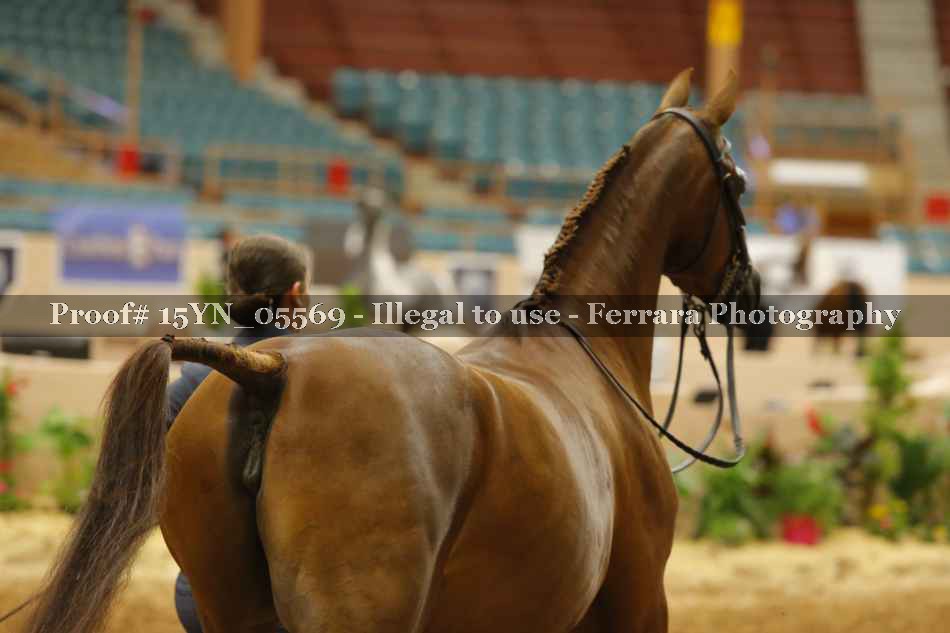 Proof 15YN_05569