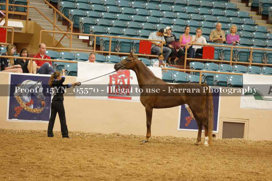 Proof 15YN_05570