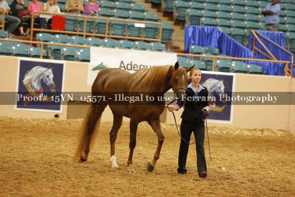 Proof 15YN_05571