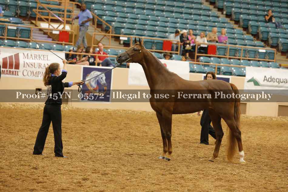 Proof 15YN_05572