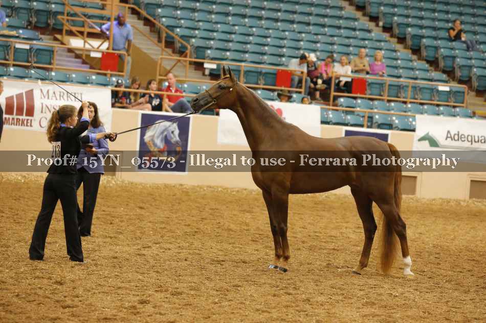 Proof 15YN_05573