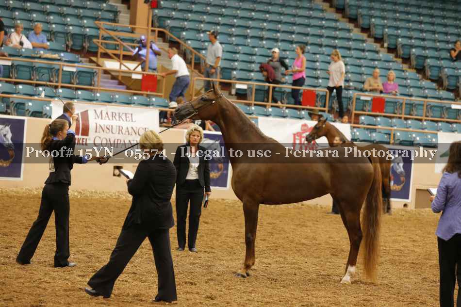 Proof 15YN_05574